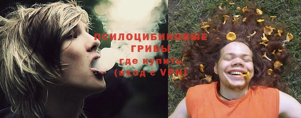 стаф Абинск